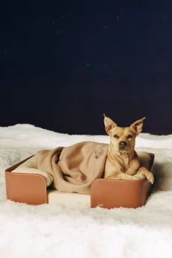STAUD Pet Accessories- PET BED CREAM TAN